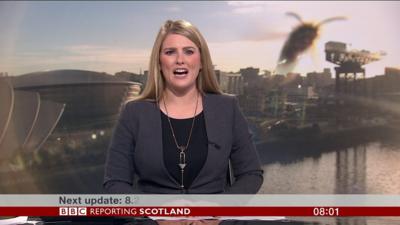 Wasp on News camera