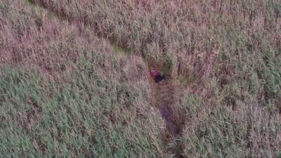 Man stuck in marshland