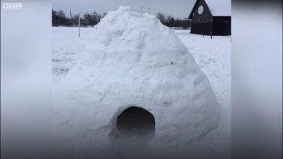 Igloo