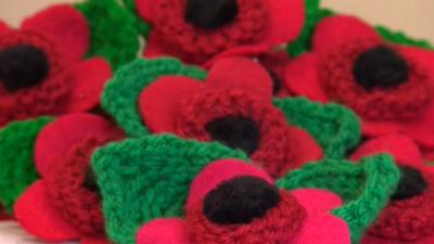 Knitted poppies by Josie Lawrence