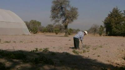 Mexican farmer