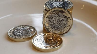 David Pearce's design on the "tails" side of the £1 coin