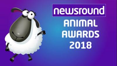 Animal awards title picture