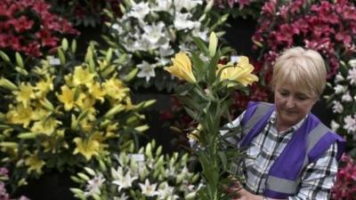 Lady arranging flowers at Chelsea Flower Show