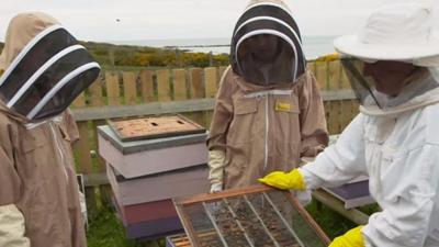 Young bee keepers