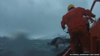 Coast Guard and whale