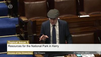 Michael Healy-Rae