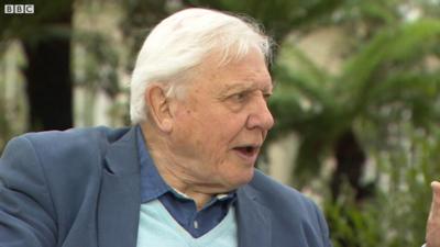 David Attenborough interview with the Today Programme