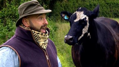 Alfonso sings to cow