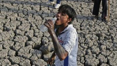 An Indian man drinks water as he removes dead fish and tries to rescue the surviving ones from the Vastrapur Lake that got dried up due to hot weather in Ahmadabad, India,