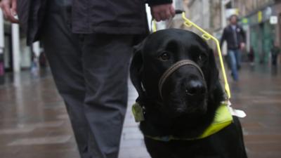 Guide dog Winnie