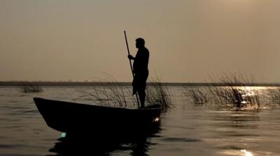 A boatman on the Godavari river