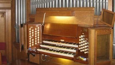 Organ