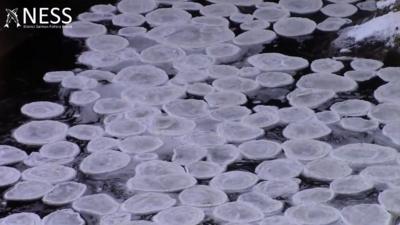 Ice pancakes