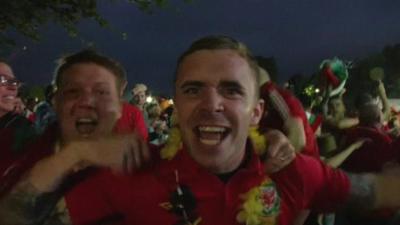 Wales fans