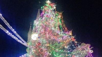 Leicester tree with lights