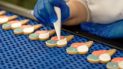 Balloon biscuits being iced