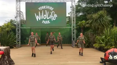 Check out Yorkshire Wildlife Park's TikTok dance challenge video
