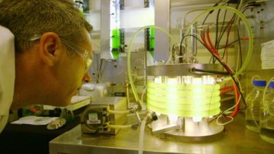 Spencer Kelly looks at a photobioreactor containing algae