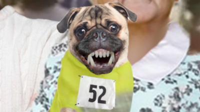 Performance-enhancing pugs