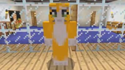 Stampy Cat