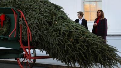 Melania and Barron Trump receive the 2017 White House Christmas tree.