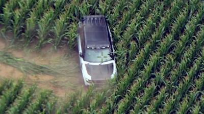 A four-wheel-drive car in a field of crops