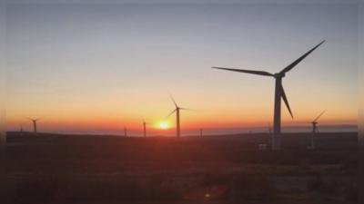 WIND FARM