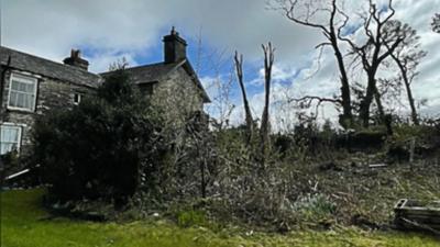 House and trees