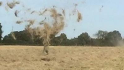 A dust devil picking up hay