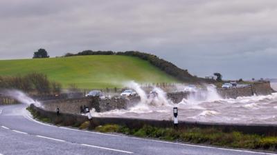 Portaferry Road