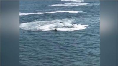 Footage shows water bikes repeatedly riding close to paddleboarders and showering them with water.