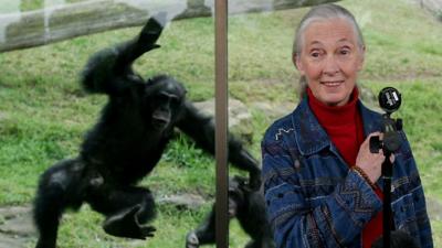 Dr Jane Goodall