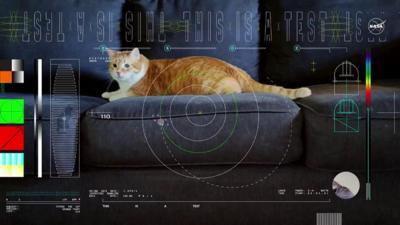 Cat video beamed from space