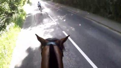 Horse dashcam