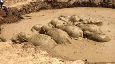 The hole is an old bomb crater enlarged to store water