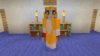 Stampy's avatar in minecraft