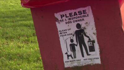 dog poo bin