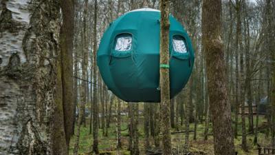 Tree tent