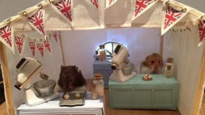 Hamsters in a Great British Bakeoff Tent Model