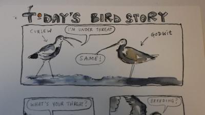 A comic book story of birds