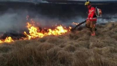 Firefighters tackle moorland fires in Darwen