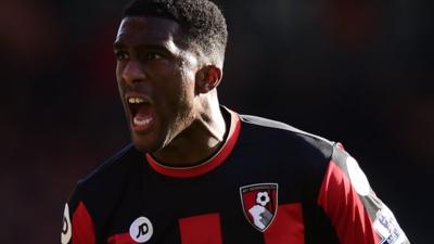 Bournemouth's Sylvain Distin