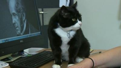 Palmerston the cat with her namesake, Lord Palmerston on the computer next to her