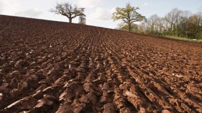 ploughed field