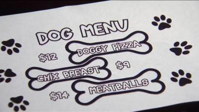 Dog menu