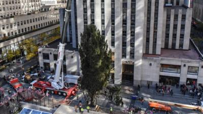 Christmas tree put into place outside Rockefeller Center