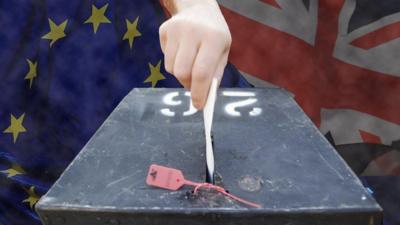 Ballot box with flags in the background