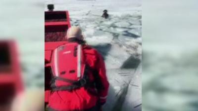 Dog being rescued from icy lake in Utah