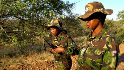 This team of women are protecting elephants in the South African bush from ivory poachers.